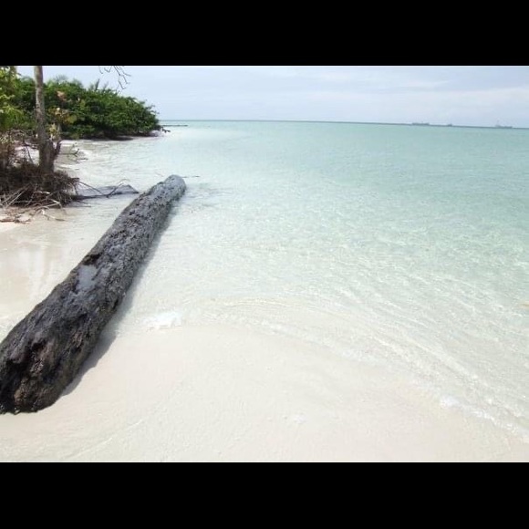 Meet your Posher, Angela - Picture 1 of 16